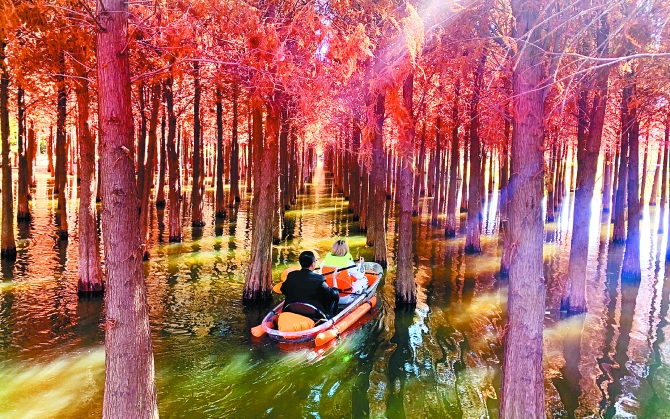 微信图片_20201129194500