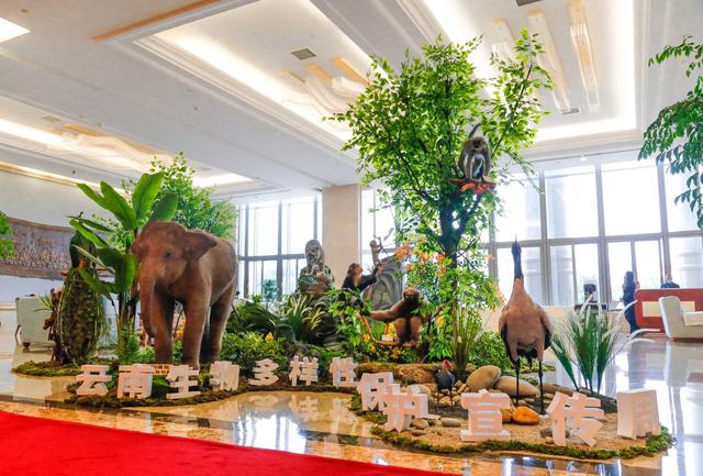 迎接COP15，云南生物多样性保护宣传周在昆启动，云南广播电视台 供图