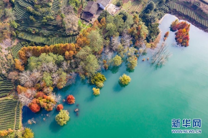 1126800508_16066554853341n