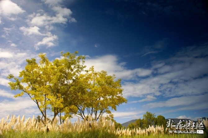 1606720416_nHeDOf 1606720416_nHeDOf