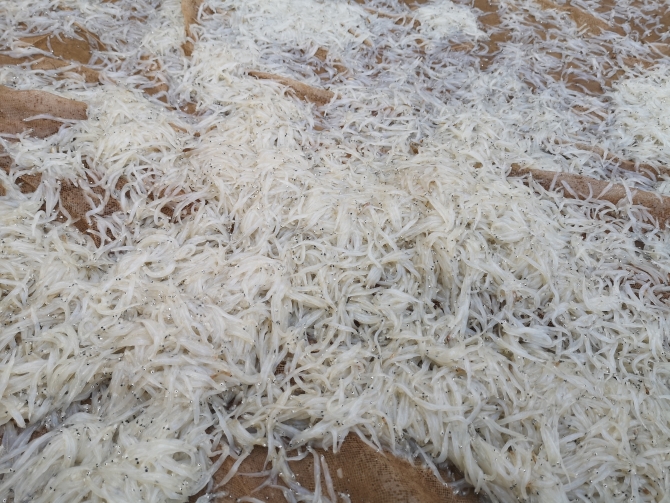 微信图片_202012021051351