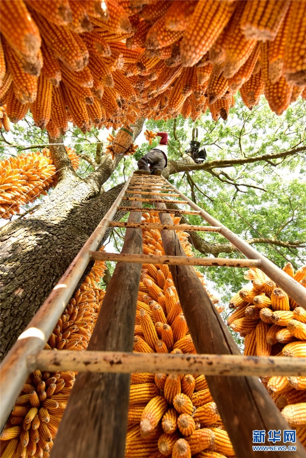 139555481_16068055703691n 139555481_16068055703691n