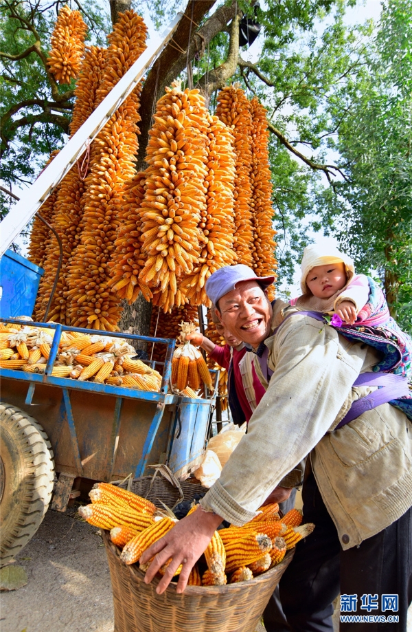 139555481_16068055693251n 139555481_16068055693251n