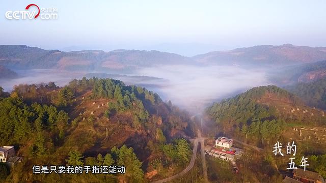 央视点赞云南00后残疾主播圆梦电竞