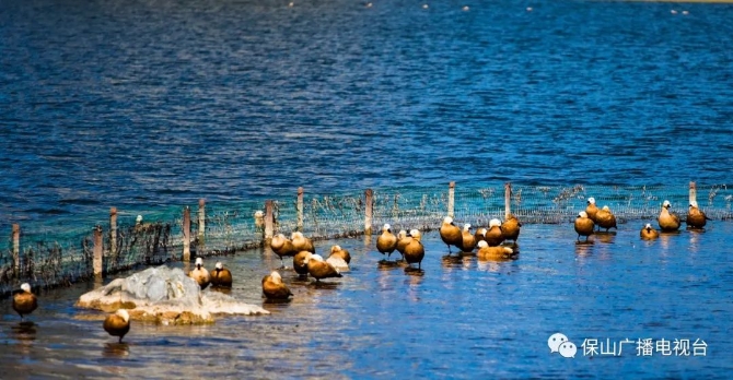 2508675367c84b0ebbd55d70faae4278 2508675367c84b0ebbd55d70faae4278