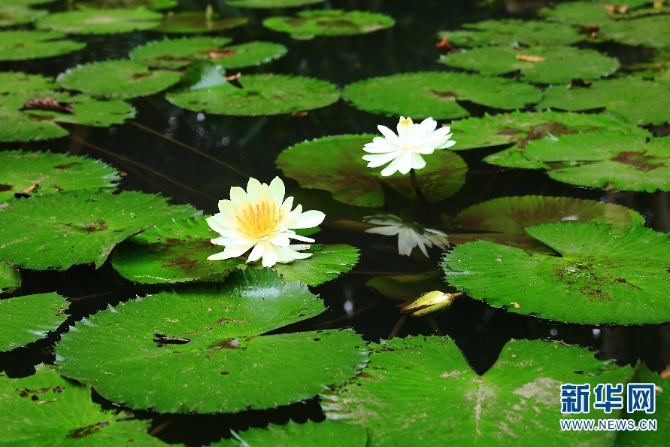 139567233_16072254526971n