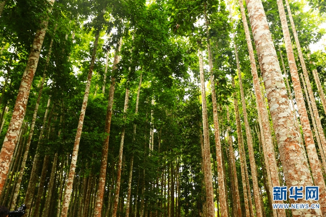 139567233_16072254530601n