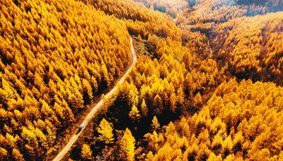 宁愿牺牲速度也要把准方向——“一煤独大”的沁源如何转型发展走新路