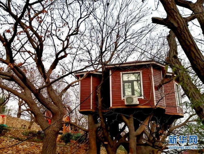 山东蒙阴县桃墟镇安康村的树上木屋（12月5日手机拍摄）。新华社记者 杨文 摄