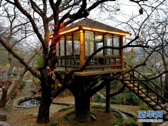 山东蒙阴县桃墟镇安康村的树上木屋（12月5日手机拍摄）。新华社记者 杨文 摄1
