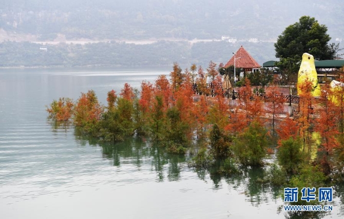 这是12月10日在重庆市万州区大周镇长江边拍摄的“水中彩林”景象。2 这是12月10日在重庆市万州区大周镇长江边拍摄的“水中彩林”景象。2