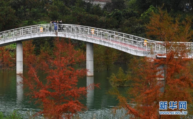 12月10日,游客在重庆市万州区大周镇的长江边游览。 12月10日,游客在重庆市万州区大周镇的长江边游览。