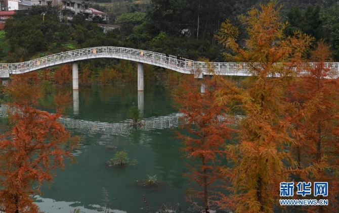 12月10日,游客在重庆市万州区大周镇的长江边游览。1 12月10日,游客在重庆市万州区大周镇的长江边游览。1