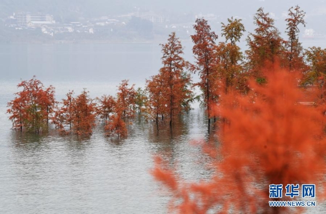 1126849162_16076651224911n 1126849162_16076651224911n