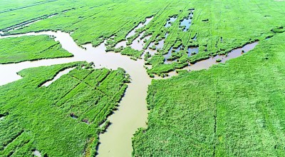 七里海,津东60里的候鸟驿站 七里海,津东60里的候鸟驿站