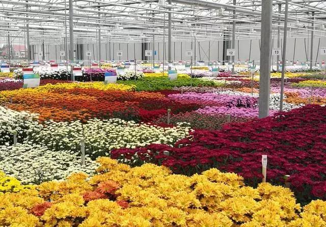 评估结果公示!云南2个园区拟成国家农业科技园区