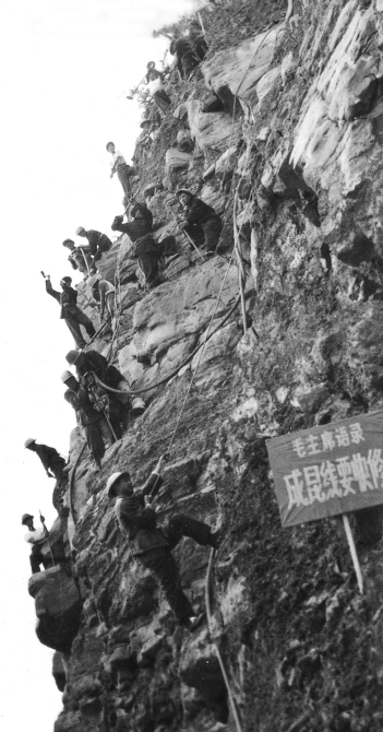 a_522880920634519552 a_522880920634519552