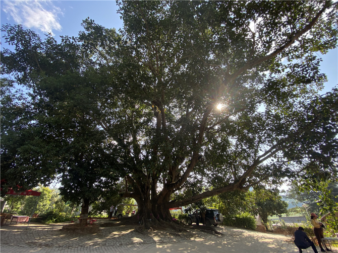 1607677901933604.png 图片3.png