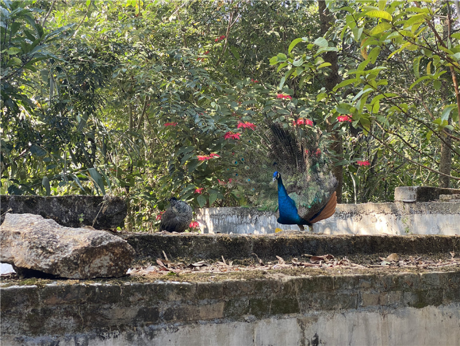 1607677909712356.png 图片4.png