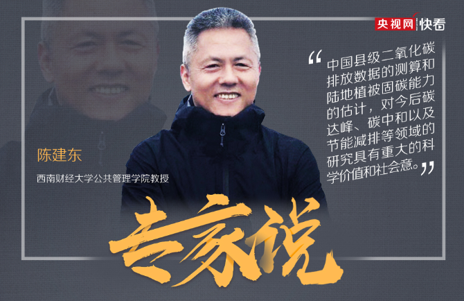 西南财经大学公共管理学院教授陈建东（海报设计 石天馨）