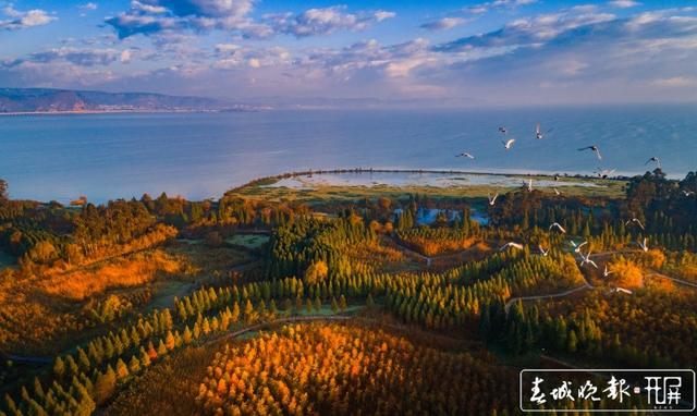 山川秀美、水天一色！晋宁滇池湿地迎来最佳观赏期，太美！ 杨hi质高 摄