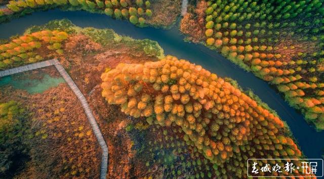 山川秀美、水天一色！晋宁滇池湿地迎来最佳观赏期，太美！ 杨hi质高 摄