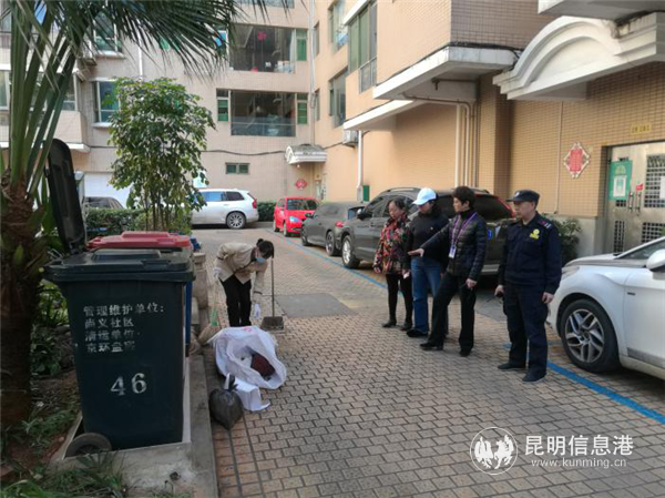 实地查看垃圾箱摆放情况