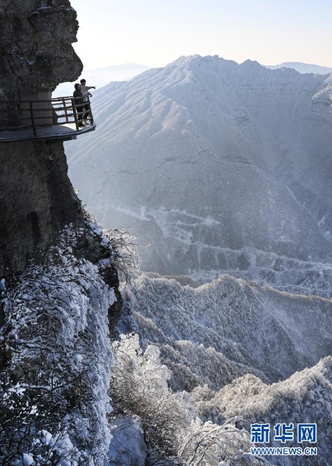 1126884647_16084654819851n