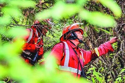 巡山穿林,新时代护林员的奋斗与快乐 巡山穿林,新时代护林员的奋斗与快乐