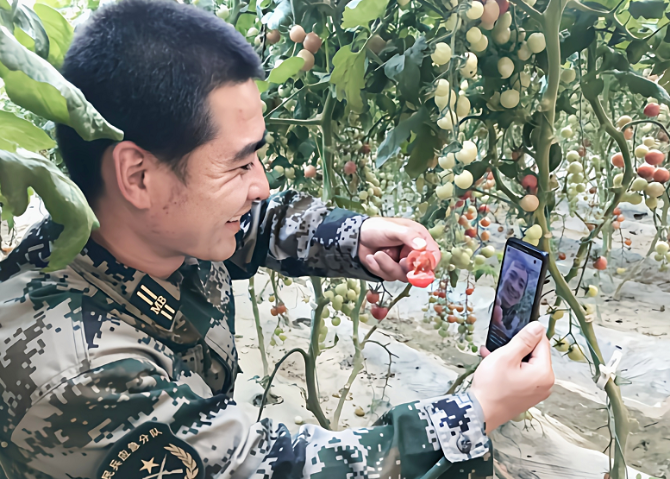 微信截图_20201223161503 微信截图_20201223161503