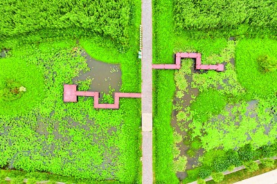 世界自然基金会全球总干事:中国为世界提供了绿色转型方案 世界自然基金会全球总干事:中国为世界提供了绿色转型方案