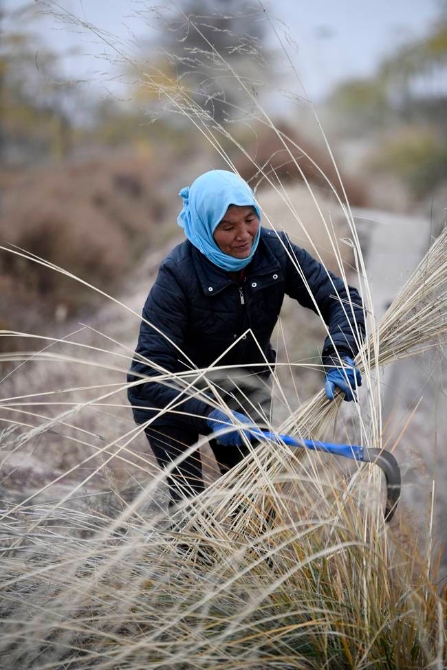 脱贫路上“她”力量丨攒劲