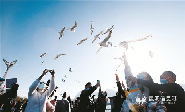 LHX_4346.jpgq LHX_4346.jpgq