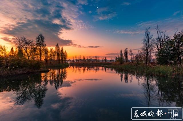 山川秀美、水天一色!晋宁滇池湿地迎来最佳观赏期,太美! 杨hi质高 摄