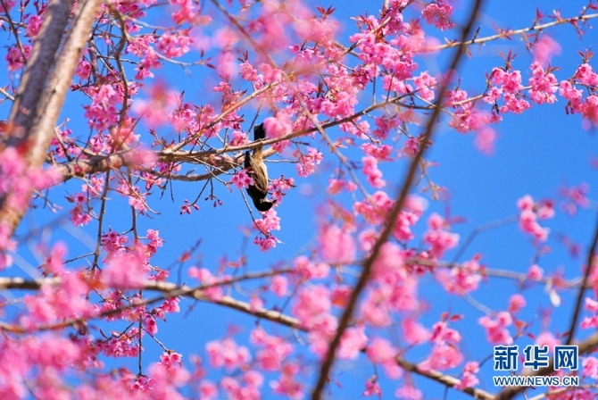 139633612_16094385691221n 139633612_16094385691221n