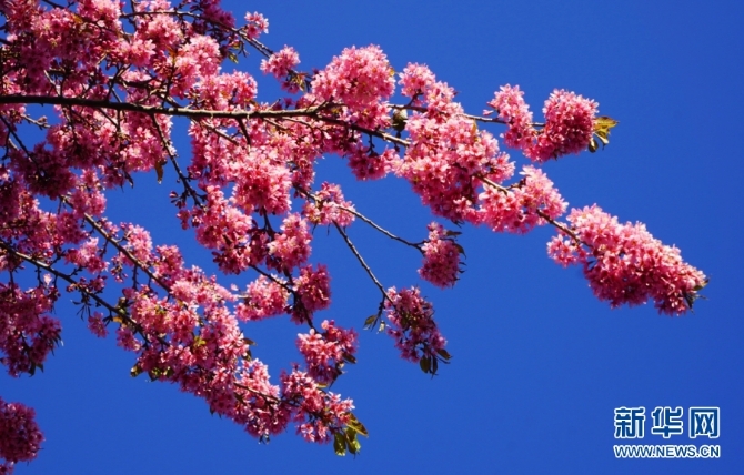 139633612_16094385691861n 139633612_16094385691861n