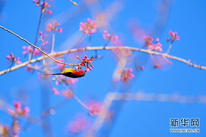 139633612_16094385692471n 139633612_16094385692471n