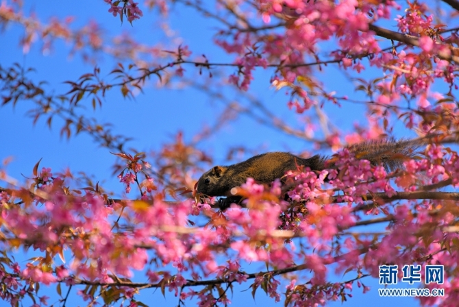 139633612_16094385693111n 139633612_16094385693111n