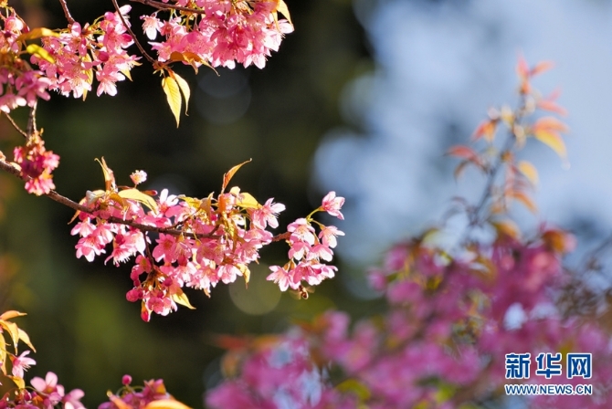 139633612_16094385693731n 139633612_16094385693731n