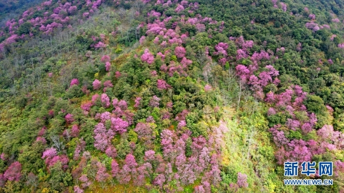 139633612_16094385694511n 139633612_16094385694511n