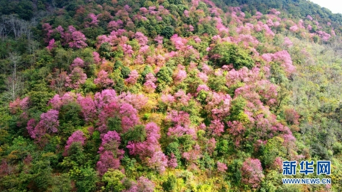 139633612_16094385695141n 139633612_16094385695141n