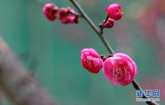 139633612_16094385695761n 139633612_16094385695761n