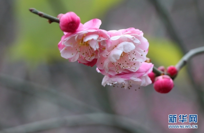 139633612_16094385696391n 139633612_16094385696391n