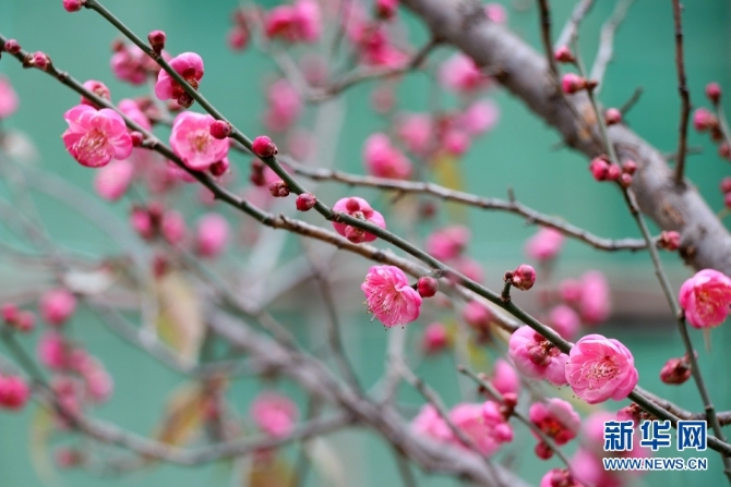 139633612_16094385697011n 139633612_16094385697011n