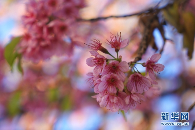 139633612_16094385698891n 139633612_16094385698891n