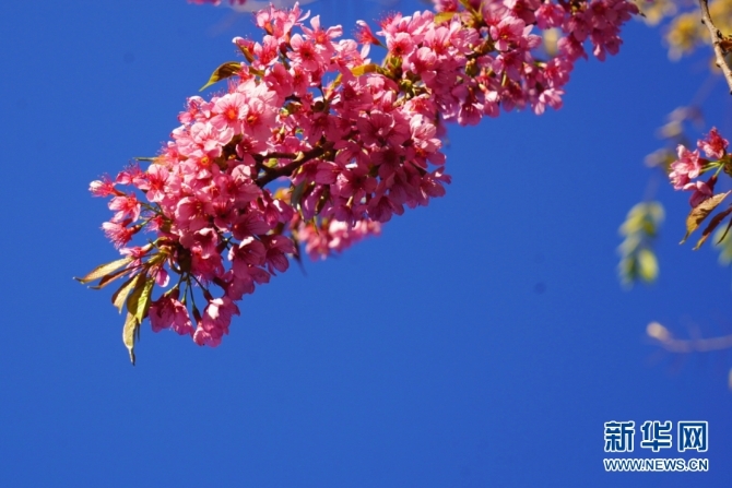 139633612_16094385698261n 139633612_16094385698261n