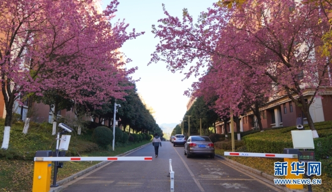 139633612_16094385697631n 139633612_16094385697631n