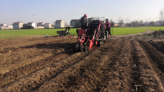 204940076a0344388bb2011727830faa 204940076a0344388bb2011727830faa