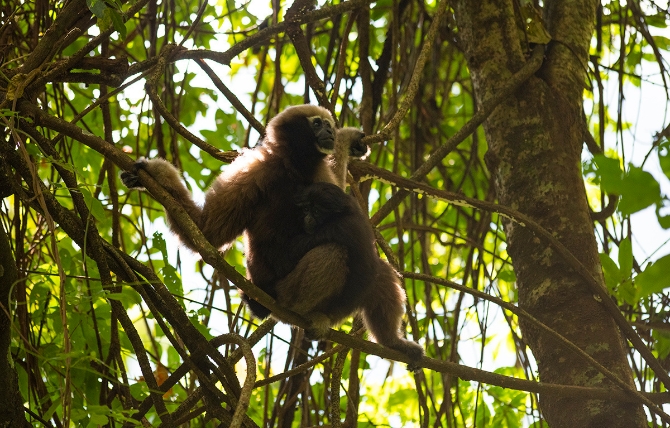 202101051610358H8GERn 202101051610358H8GERn