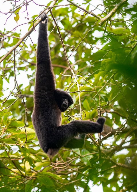 20210105161035BG6EN9n 20210105161035BG6EN9n